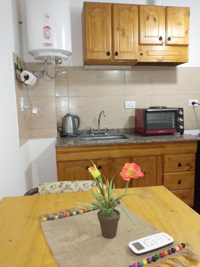Departamentos Pachamama Apartment Tunuyán Екстериор снимка