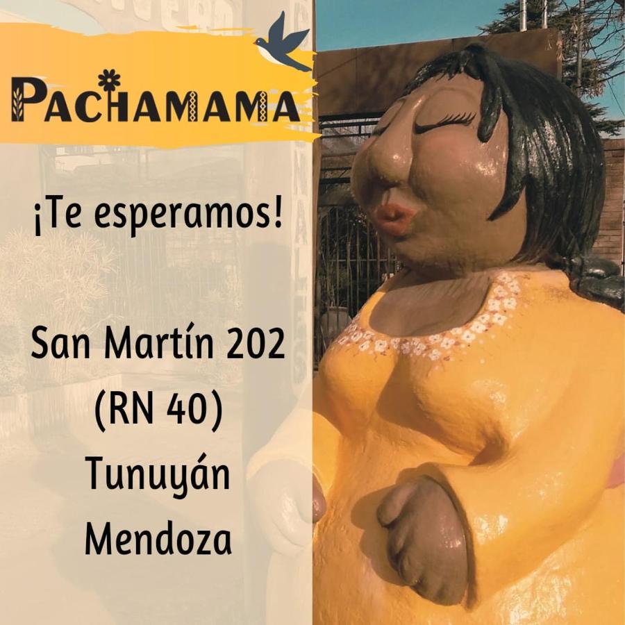 Departamentos Pachamama Apartment Tunuyán Екстериор снимка
